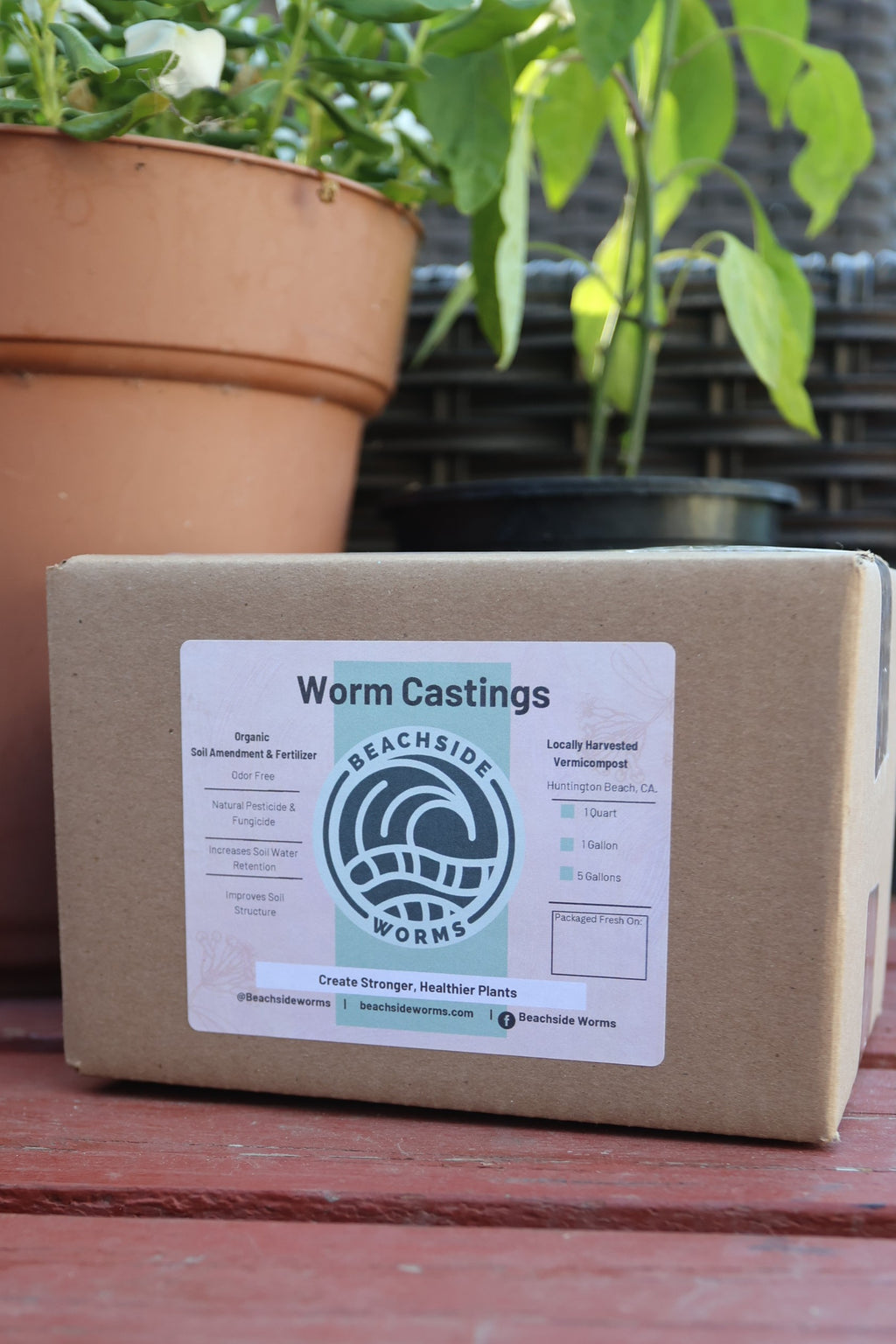 Premium Fresh Worm Castings – Naturally Improve Your Soil